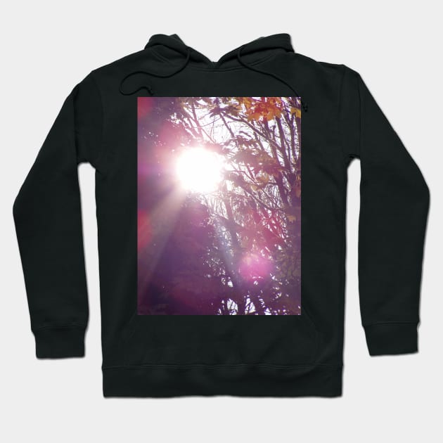 Autumn Sun Rays #60 Hoodie by DlmtleArt